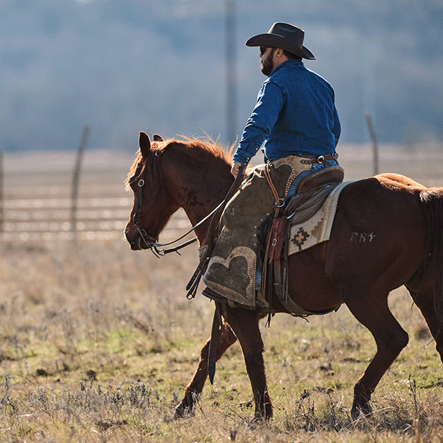 Two men riding on horseback through a pasture.
